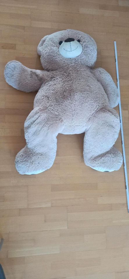 Riesen Teddy Kuscheltier in Leonberg