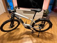 E-Bike Canyon Pathlite:ON 9 SUV Größe L *9 Monate Alt* Niedersachsen - Appel Vorschau