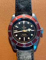 Tudor Black Bay rose 79220 Smiley Nordrhein-Westfalen - Velbert Vorschau