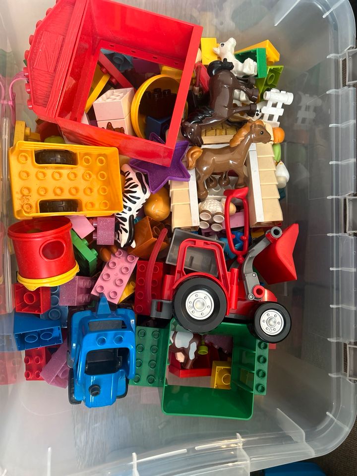 Lego Duplo Kiste in Gießen