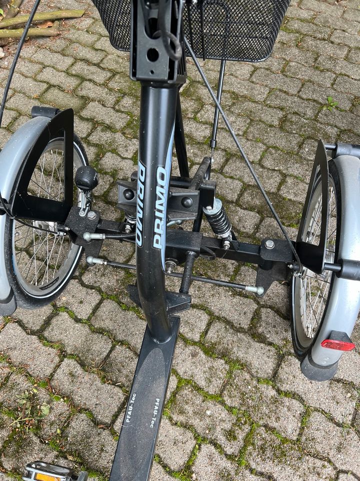 Dreirädriges Fahrrad in Bordesholm