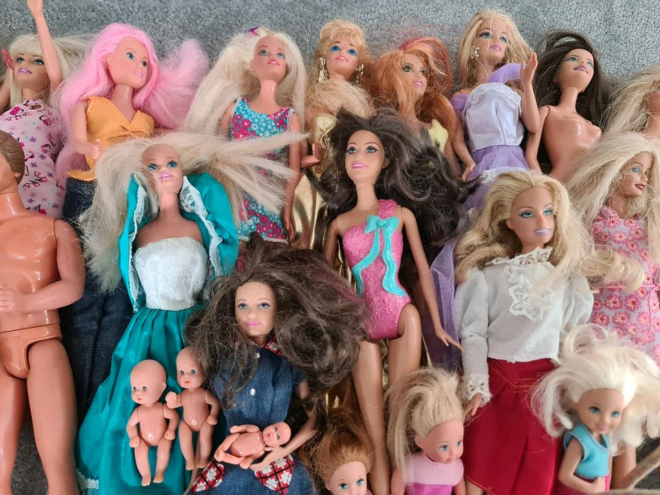Verkaufe 27 Puppen Barbie und Co in Schwarzenbek