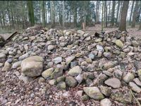 Feldsteine Kopfsteinpflaster Beetumrandung Bauerngarten Niedersachsen - Westerwalsede Vorschau