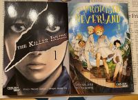 Manga Anime Buch The Promise... und Killer Inside Baden-Württemberg - Nehren Vorschau