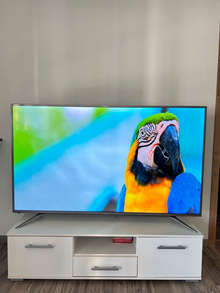 65 Zoll Hisense Smart TV 4K UHD in Kelheim