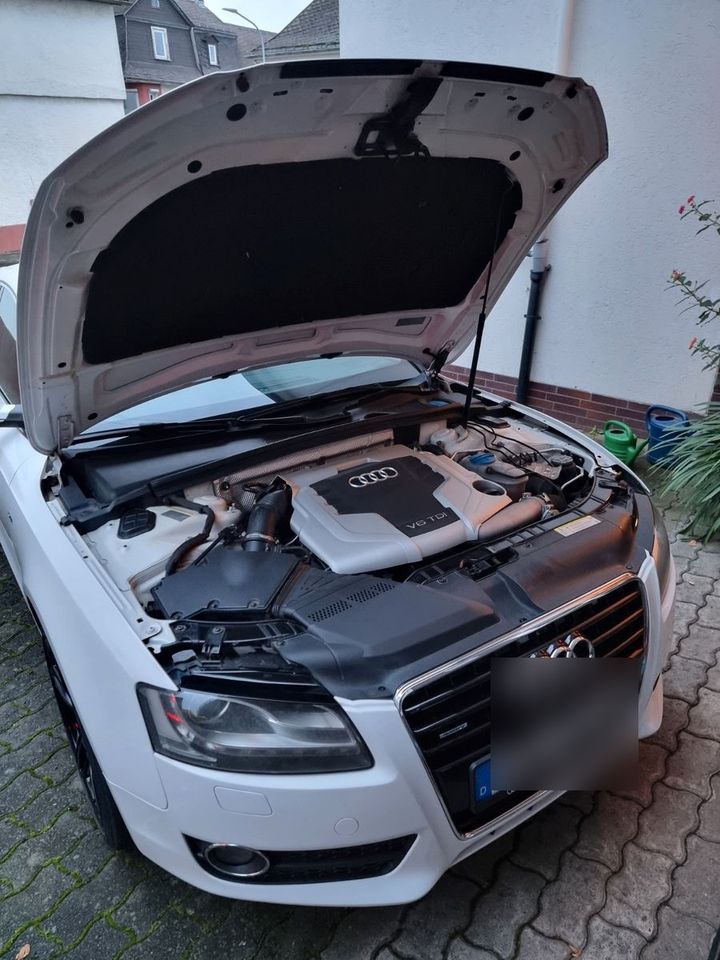 Audi A5 3.0 TDI (DPF) S tronic quattro Sportback - in Limburg