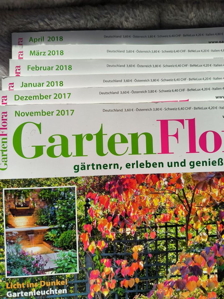 Verschiedene Zeitschriften in Bad Gottleuba-Berggießhübel