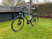 Verkaufe ein 28Zoll Herren Fahrrad Raleigh RH:56cm Brandenburg - Oranienburg Vorschau