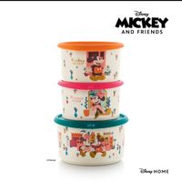 Tupperware Mickey Maus Set Dosen rund bunt neu ! Hessen - Gießen Vorschau