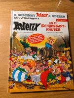 Asterix un di Schbessarträuber Bayern - Remlingen Vorschau
