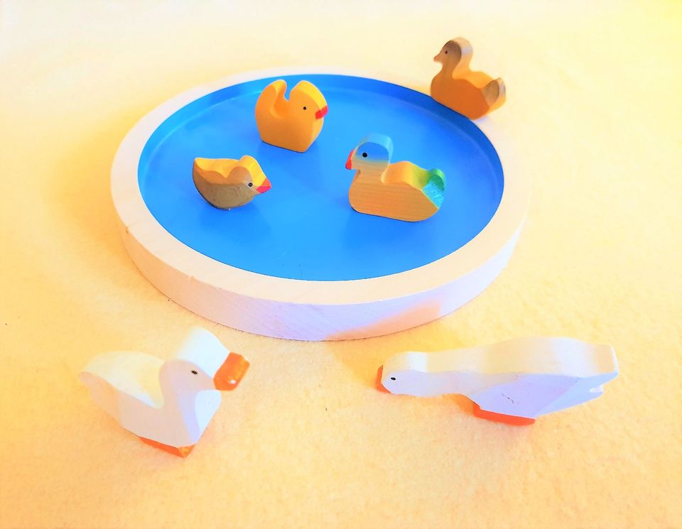 Enten Teich Weiher Trauffer Gänse Ostheimer Küken Tiere Waldorf in