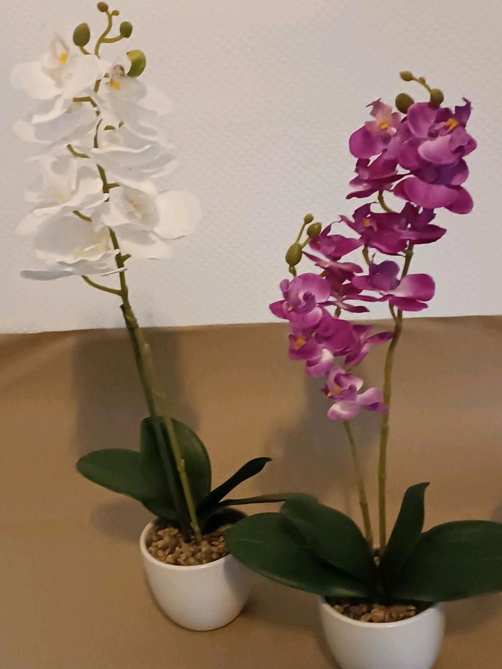Künstliche Orchidenpflanze 2 Stück in Dortmund