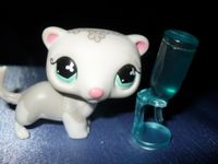 Littlest Pet Shop – Frettchen #579 m. Zubehör– Rarität 2006 Niedersachsen - Zeven Vorschau