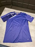 Puma Damen Sport Shirt T-shirt Größe M lila Rheinland-Pfalz - Worms Vorschau