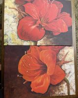 2x Bilder Kunstdruck Amaryllis je 70 x 50 cm Leinwand Bayern - Elsenfeld Vorschau