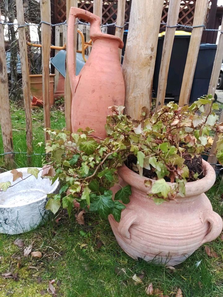 Terrakotta Topf mit Henkel in Cremlingen