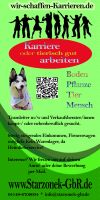 Zusatzeinkommen / zweites Standbein für Hundeprofis m/w/d Niedersachsen - Heinbockel Vorschau