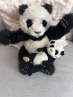 Furreal Panda Köln - Raderberg Vorschau