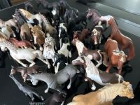 Schleich Pferde Sammlung Baden-Württemberg - St. Leon-Rot Vorschau