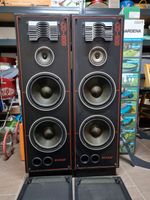 1 Paar/2 Stück Lautsprecher Musikboxen ELTAX CD-300e 150/300 Watt Baden-Württemberg - Rutesheim   Vorschau