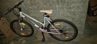 Mountainbike Tretwork EVO 10 Berlin - Spandau Vorschau