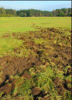 Wildschadenbeseitigung Wildschaden Grünlandneuansaat fräsen Niedersachsen - Munster Vorschau