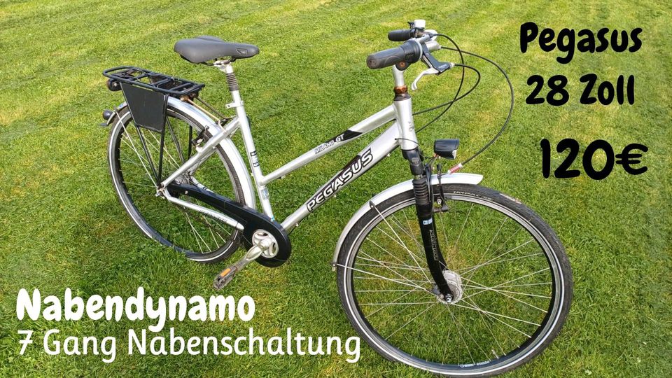 Mehrere 28 Zoll Räder Rad Fahrrad Damenrad in Barlt