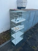 Ich verkaufen vogelkafig ode tauschen mit Aquarium Duisburg - Duisburg-Mitte Vorschau