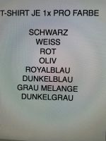 8 STÜCK FÜR 32 EURO T-SHIRTS 3XL XXXL 8 FARBEN  NEU Dortmund - Kirchhörde Vorschau