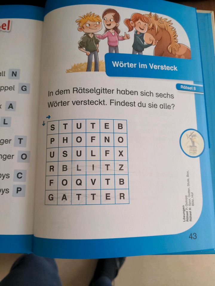 Bücher Leseanfänger Prinzessinnen Pferde Petronella Apfelmus in Leipzig