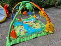 Spielbogen Fisher Price Nordrhein-Westfalen - Bergheim Vorschau