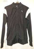 Puma Trainingsanzug Brandenburg - Bernau Vorschau