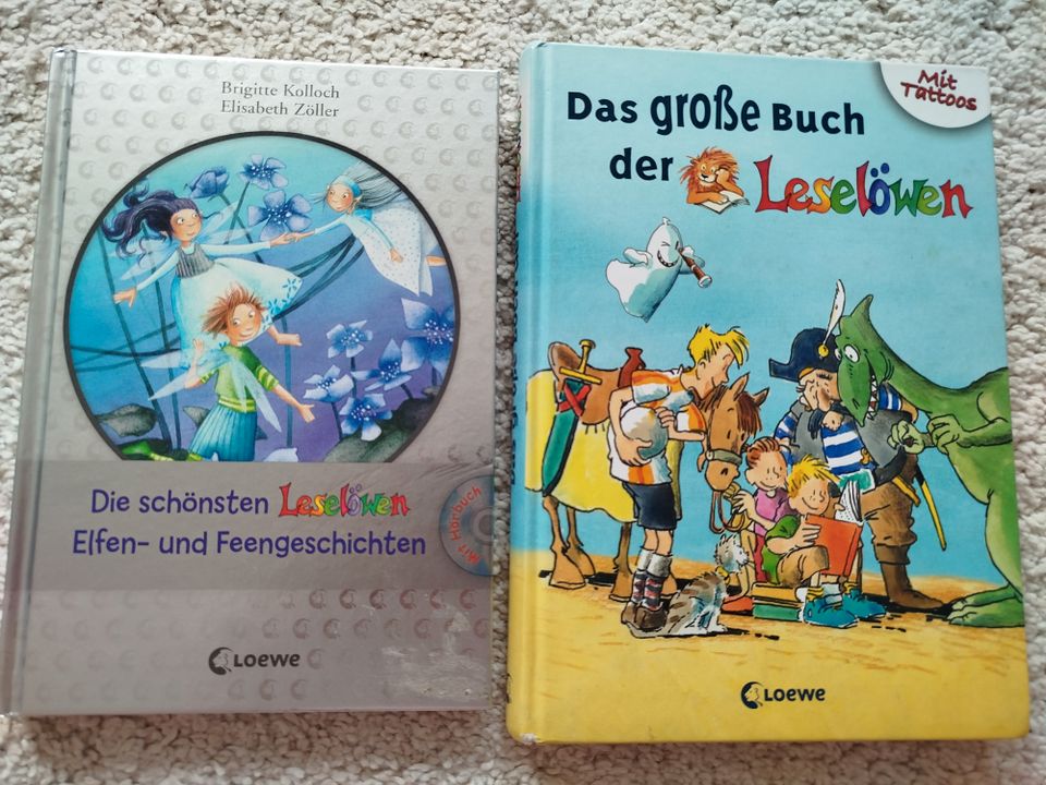 Leselöwen Bücher für die Kinder 1 Klasse in Braunschweig