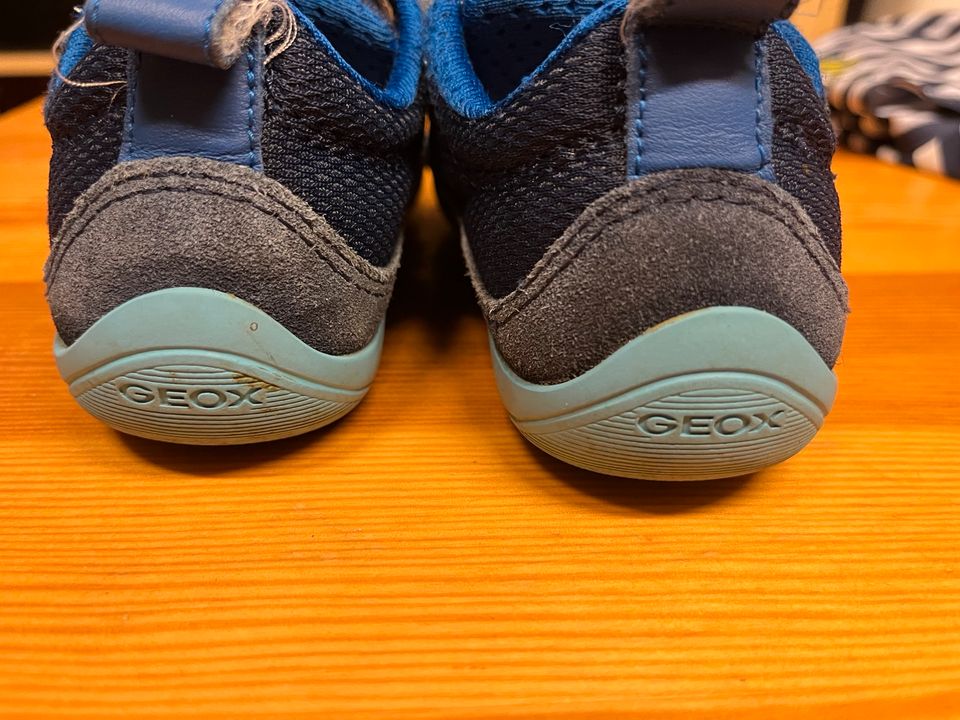 Geox Barefeel Sneaker 29 Turnschuh Kinder blau in Hamburg