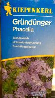 Gründünger, Phacelia, Bienenweide Niedersachsen - Delligsen Vorschau