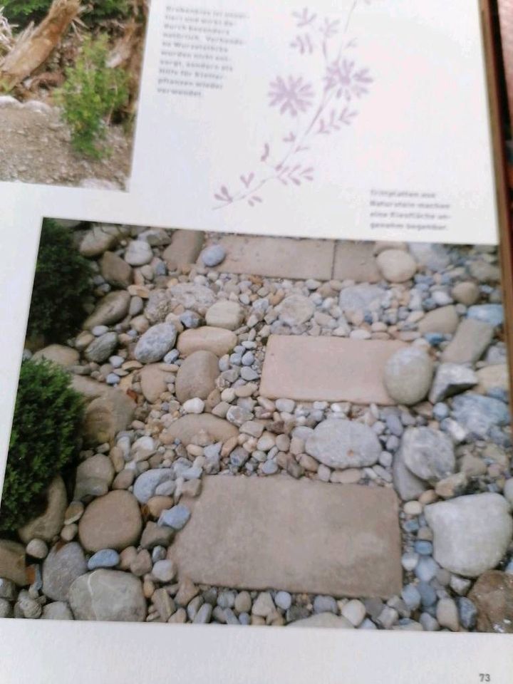 Naturgarten Kräuter Kletterpflanzen Gartenbücher in Ludwigshafen