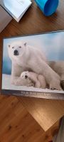 Puzzle Polar Bär und Baby Niedersachsen - Dassel Vorschau