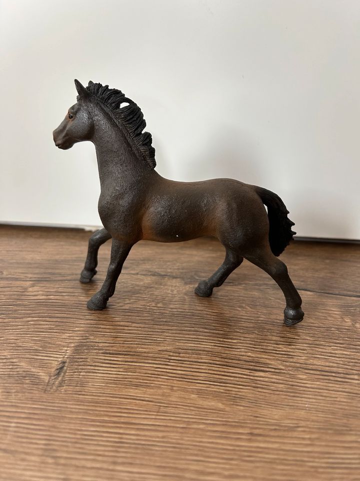 Schleich Pferde (2019-2021) in Hambühren