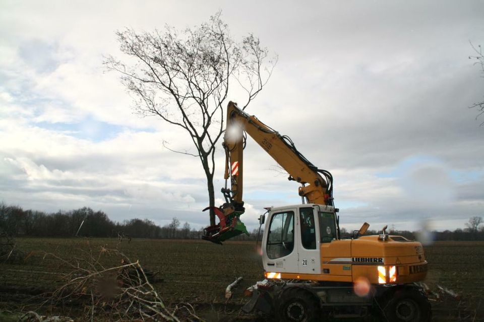 Fällgreifer, Baumschere, Energieholzernte, Bagger, HBS 300 in Roßbach