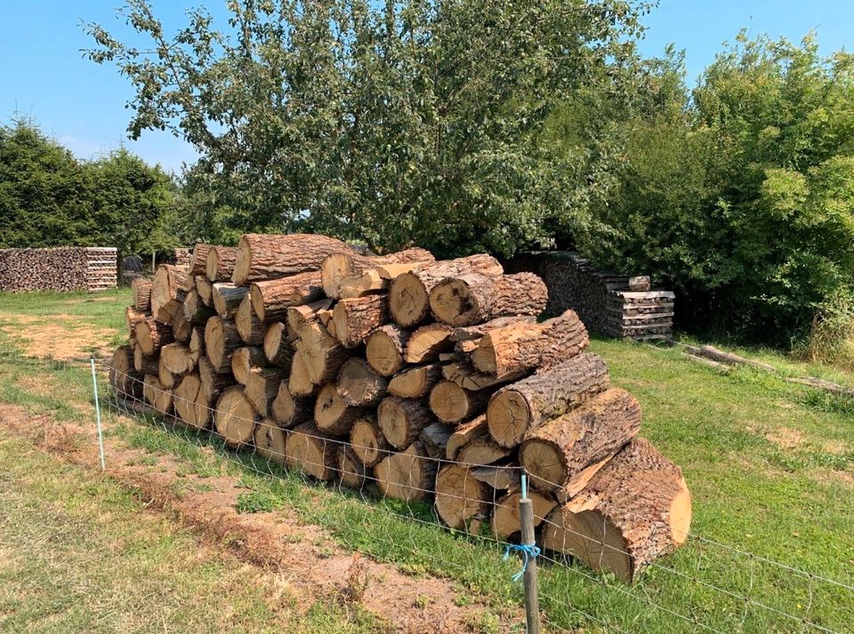 Brennholz Eiche/Kiefer 1m Stücke in Groß-Umstadt