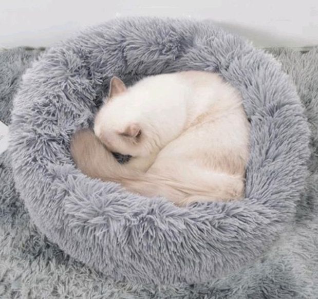 *NEU* Hundebett, Katzenbett, hundekissen 60cm Donut in Werl