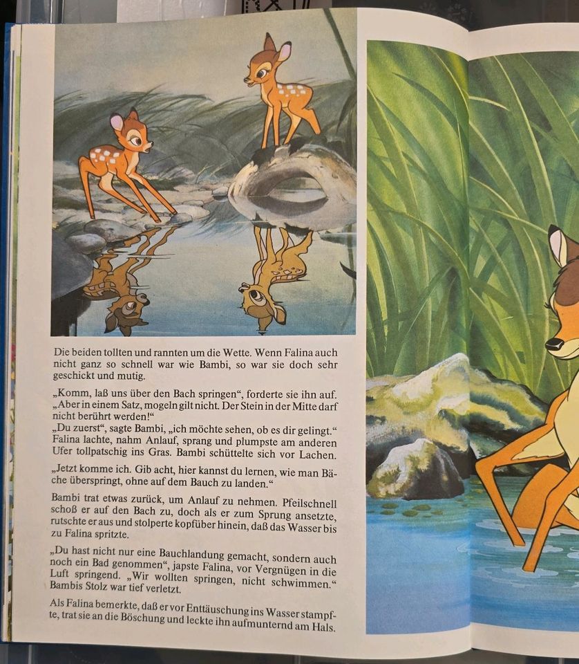Buch Walt Disney Peter Pan Bambi Aristocats in Springe