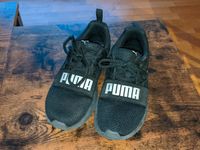 Puma Turnschuhe Wired Sportschuhe Schuhe schwarz Gr. 35 EUR Jung Pankow - Weissensee Vorschau