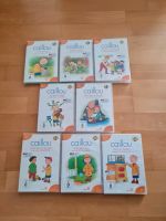 Caillou DVD Zeichentrickserie Baden-Württemberg - Eningen Vorschau