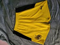 Puma Borussia Dortmund Training Shorts Hannover - Herrenhausen-Stöcken Vorschau