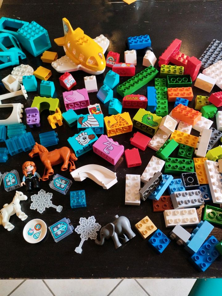 Lego Duplo Steine Platten Konvolut Tiere Flugzeug Elas in Wennigsen