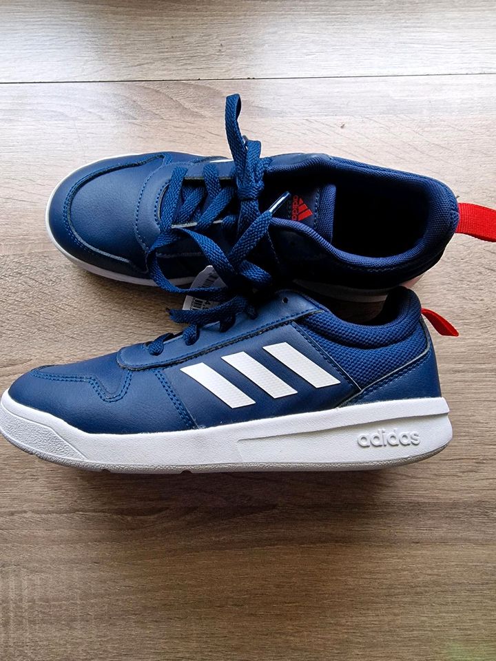 :) NEUE Adidas Hallenschuhe in Weißenfels