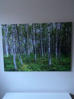 Leinwand-Bild Birkenwald von Pixxprint 80x60cm Schleswig-Holstein - Flensburg Vorschau