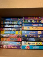 22 VHS Kinderfilme Disney, Pokémon, Barbie, Bibi Blocksberg Nordrhein-Westfalen - Lüdinghausen Vorschau