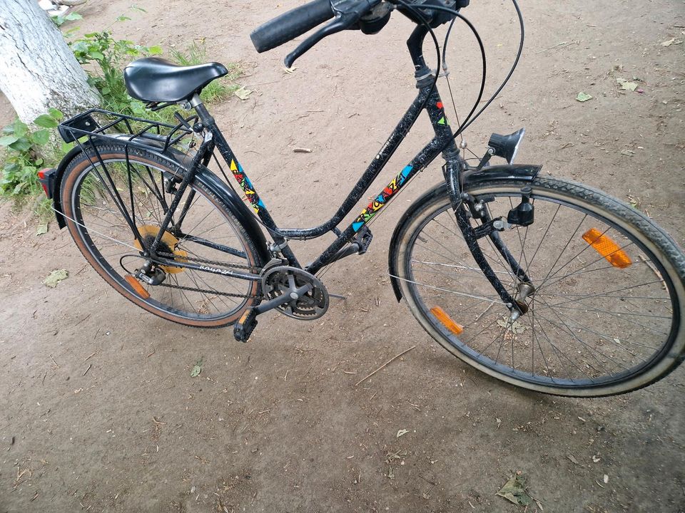 Fahrrad Herren & Damen. in Duisburg
